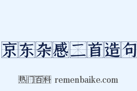 京东杂感二首造句是什么意思的图片